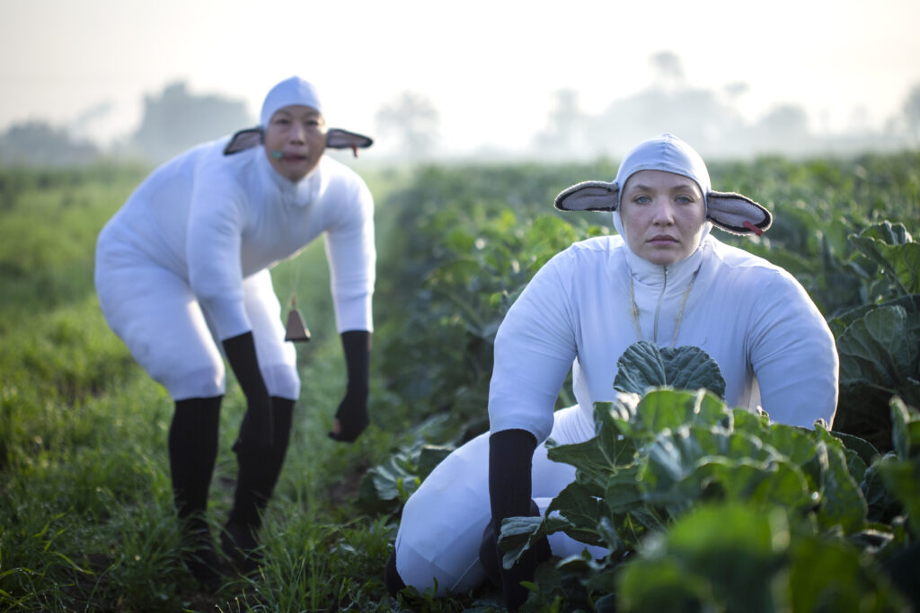 moutons-japon-2