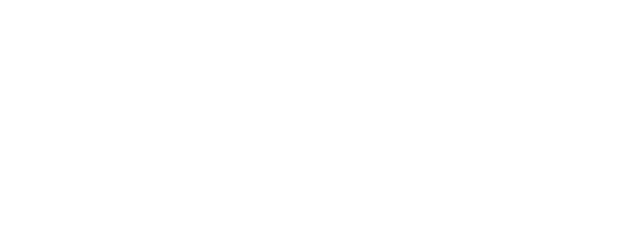 Canada Council for the Arts logo